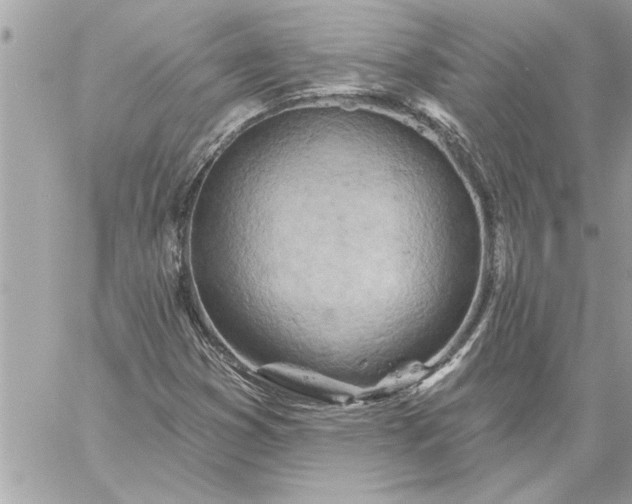 X0000059061353200510171929