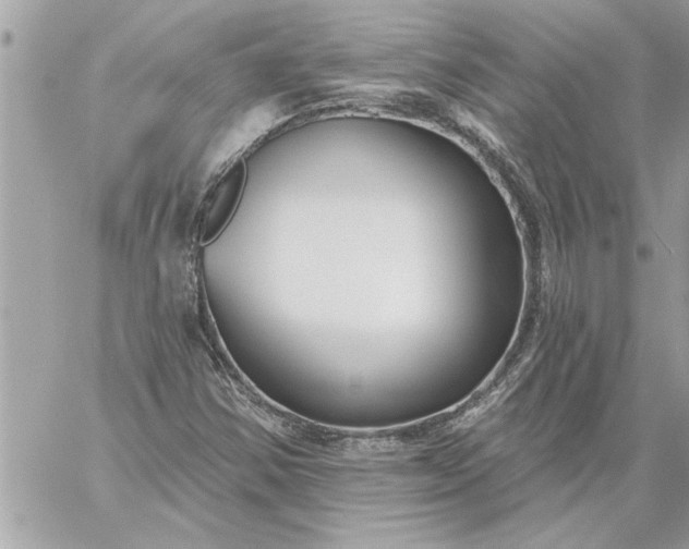 X0000059061354200510171929