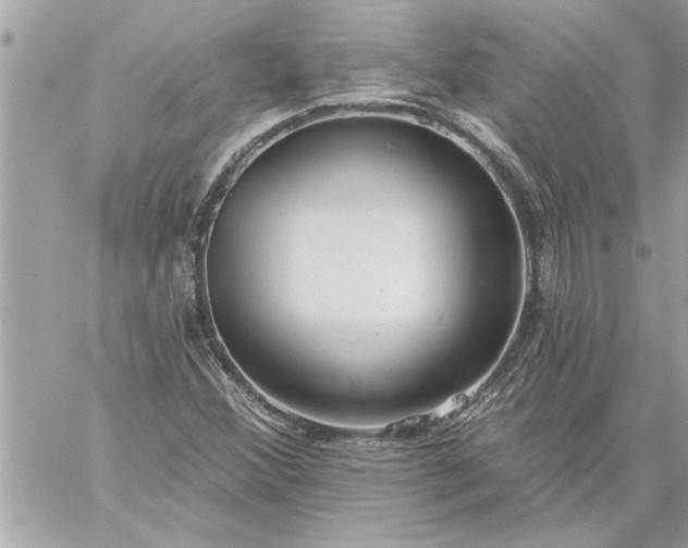 X0000059061356200510171929