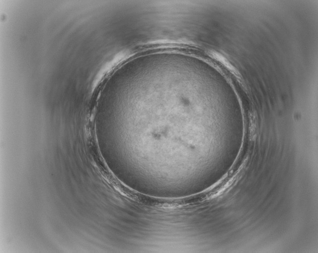 X0000059061357200510171929