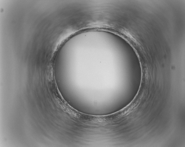 X0000059061358200510171929