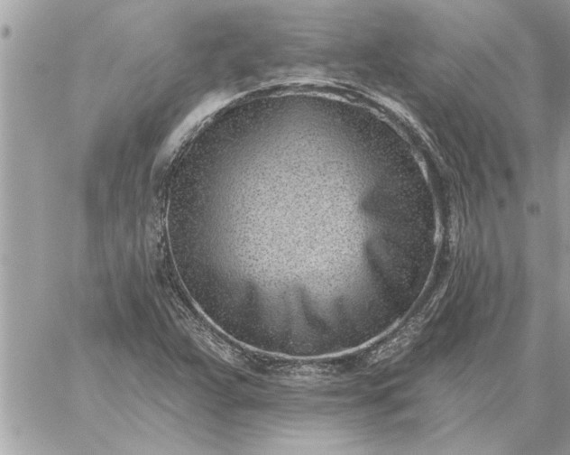 X0000059061359200510171929