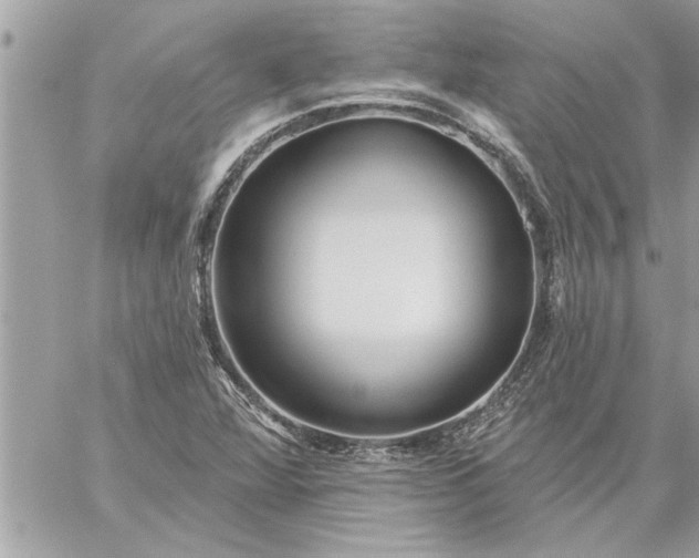 X0000059061360200510171929