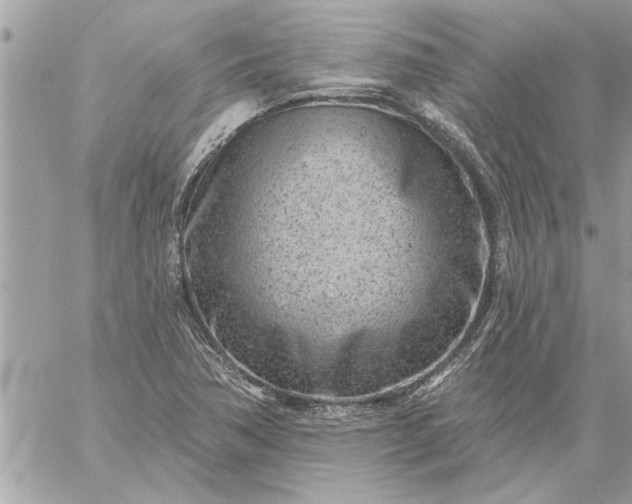 X0000059061362200510171929