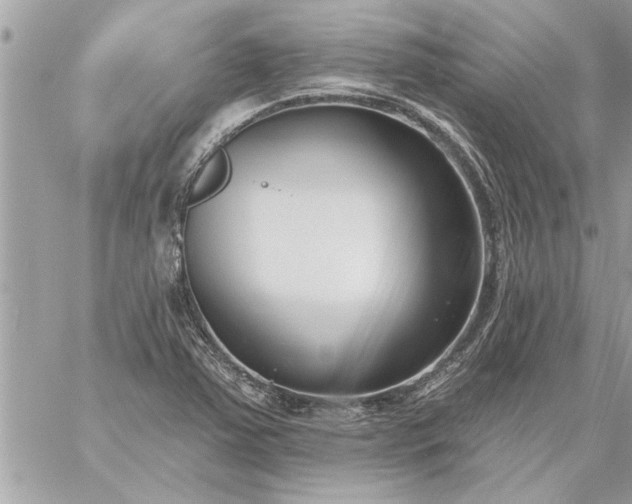 X0000059061363200510171929