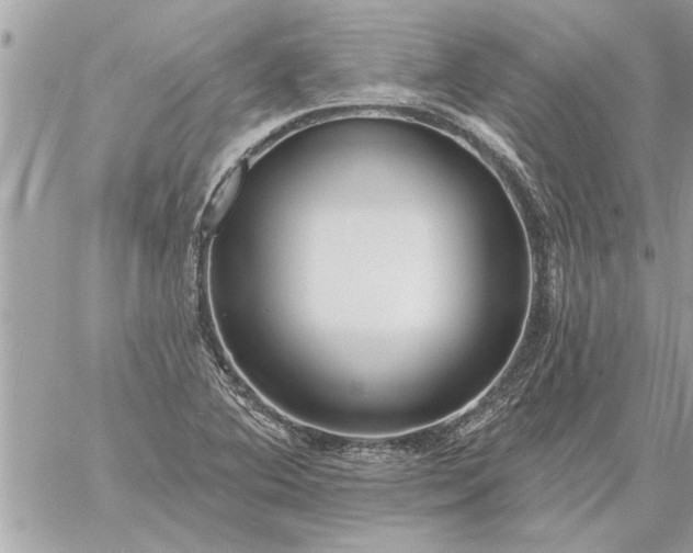 X0000059061364200510171929