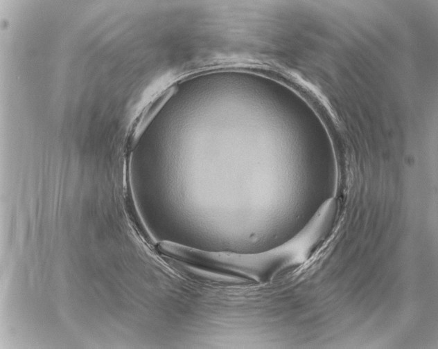 X0000059061365200510171929