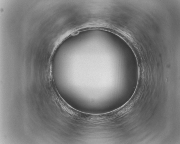 X0000059061366200510171929