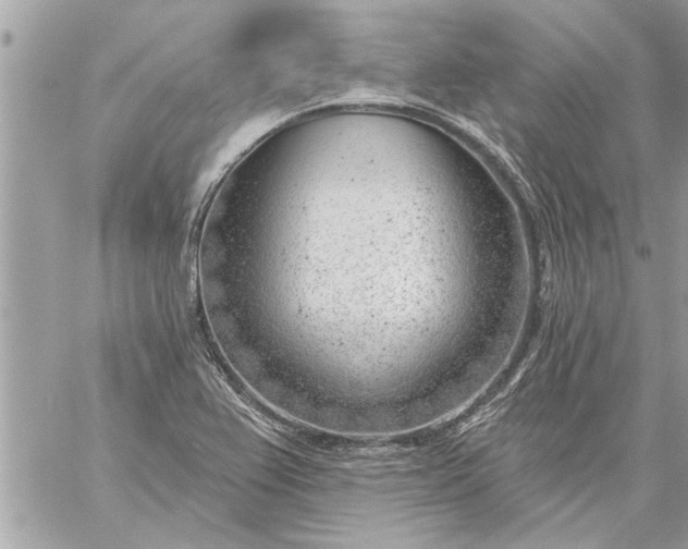 X0000059061367200510171929