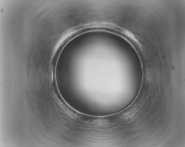 X0000059061368200510171929