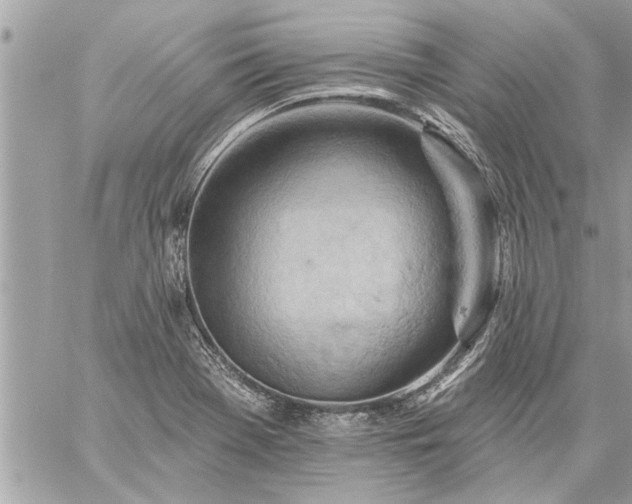 X0000059061369200510171929