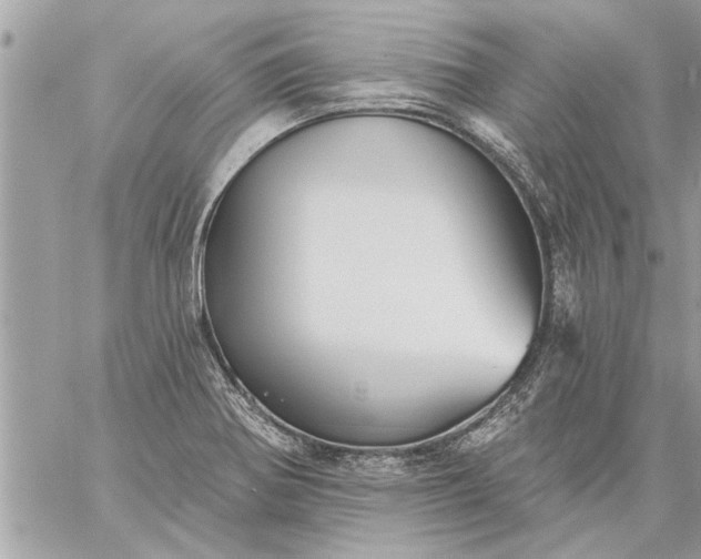 X0000059061370200510171929