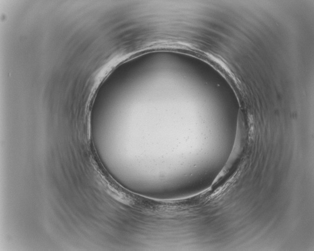 X0000059061371200510171929