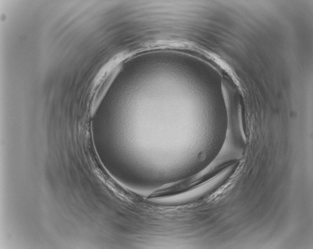 X0000059061373200510171928