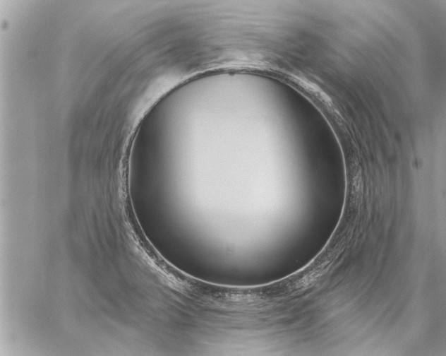 X0000059061375200510171928