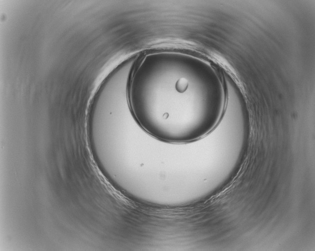 X0000059061376200510171928