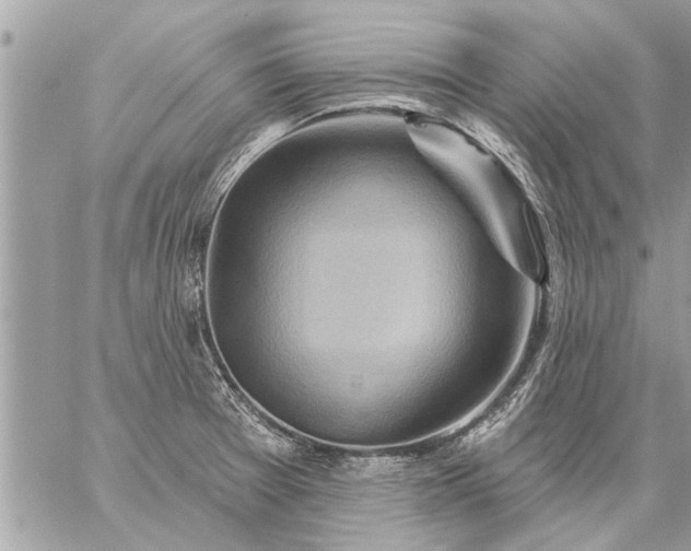 X0000059061377200510171928