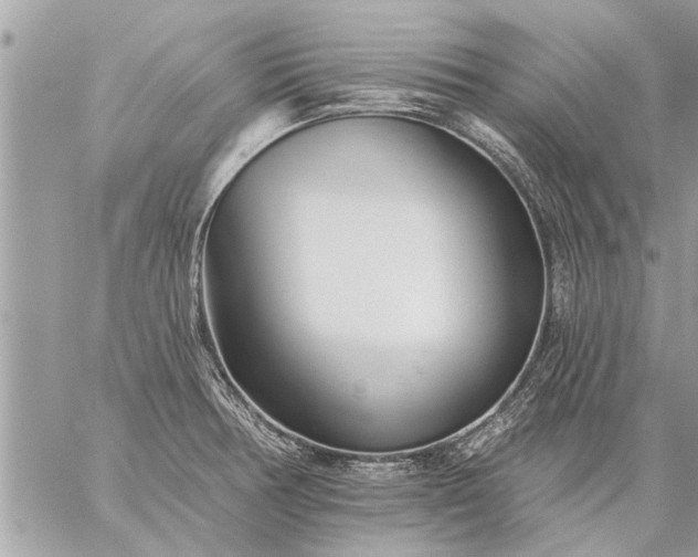 X0000059061378200510171928