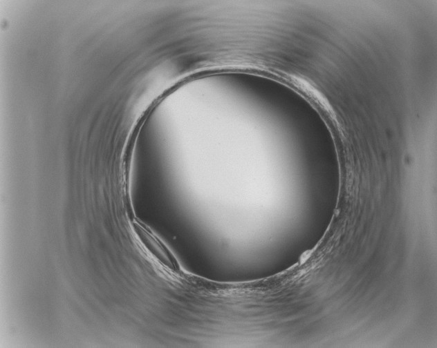 X0000059061380200510171928