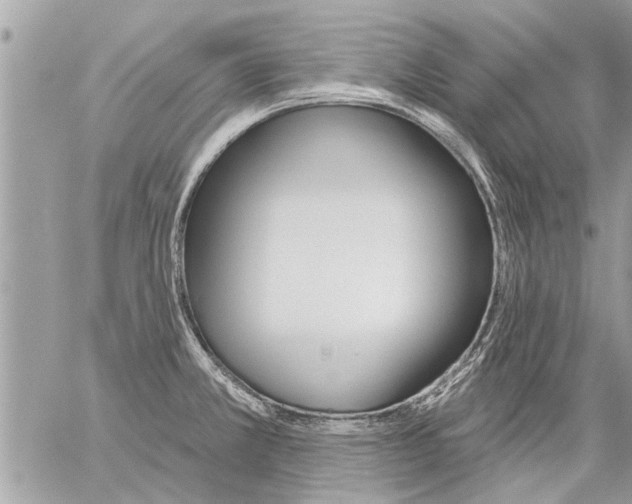 X0000059061381200510171928