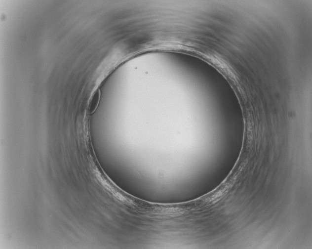 X0000059061382200510171928