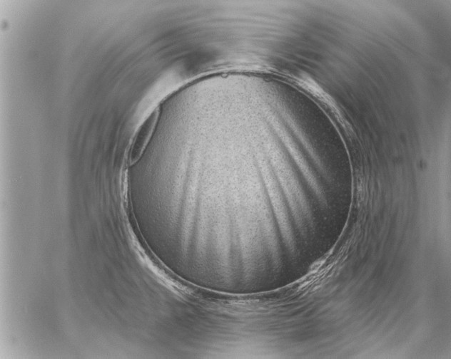 X0000059061383200510171928