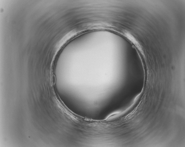 X0000059061384200510171928