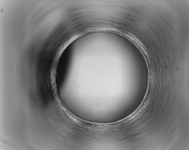 X0000059061385200510171928