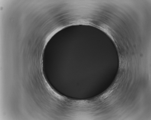 X0000059061387200510171928