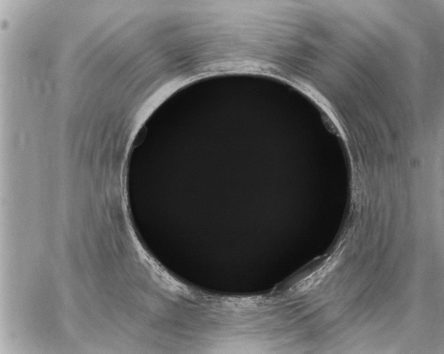 X0000059061389200510171928