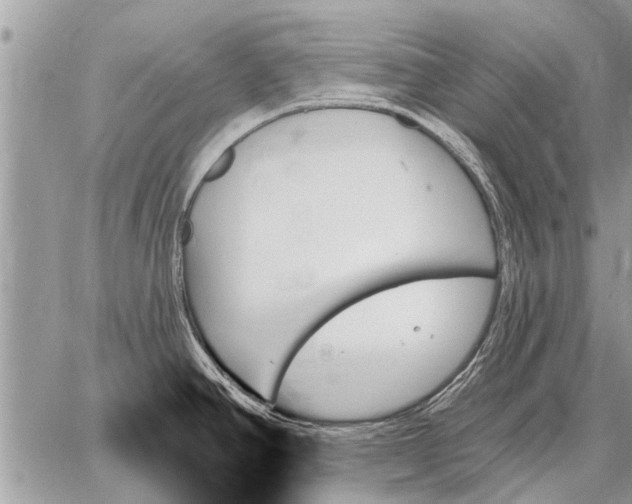 X0000059061390200510171928