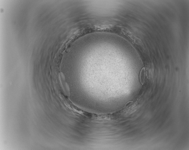 X0000059061393200510171927