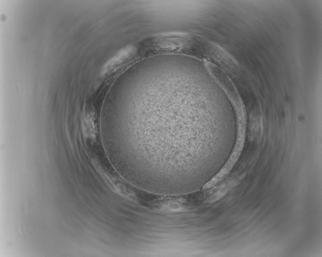 X0000059061394200510171927