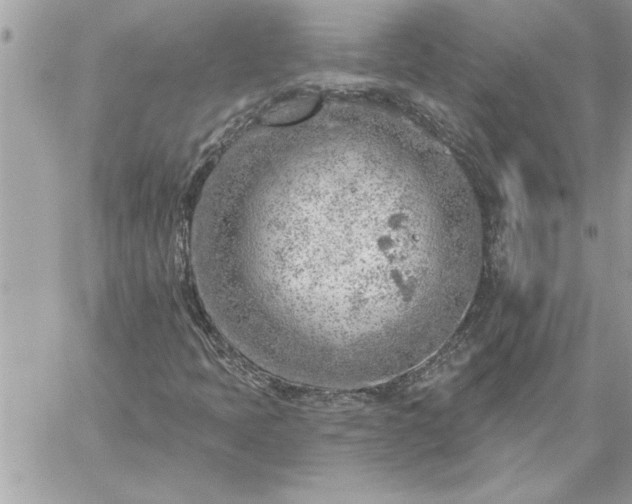 X0000059061397200510171927