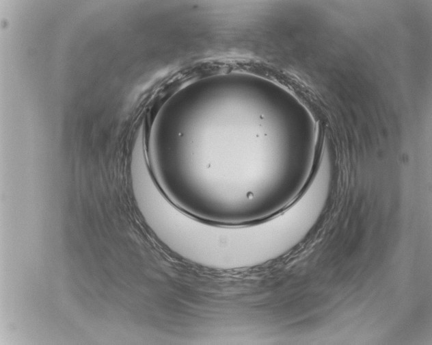 X0000059061398200510171927