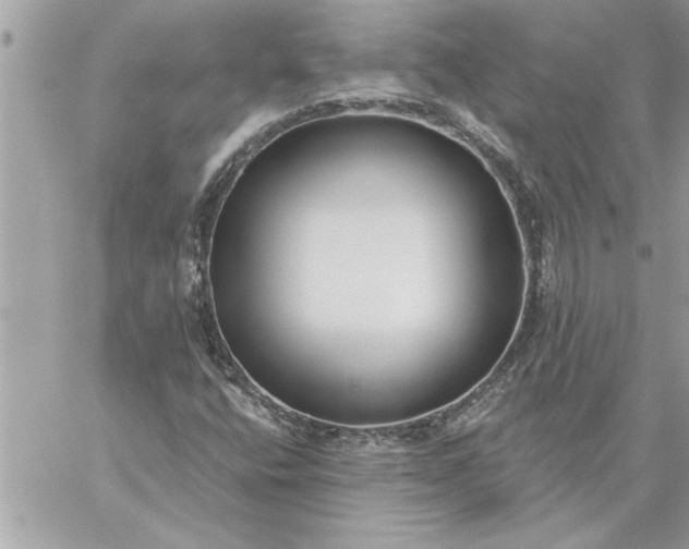 X0000059061400200510171928