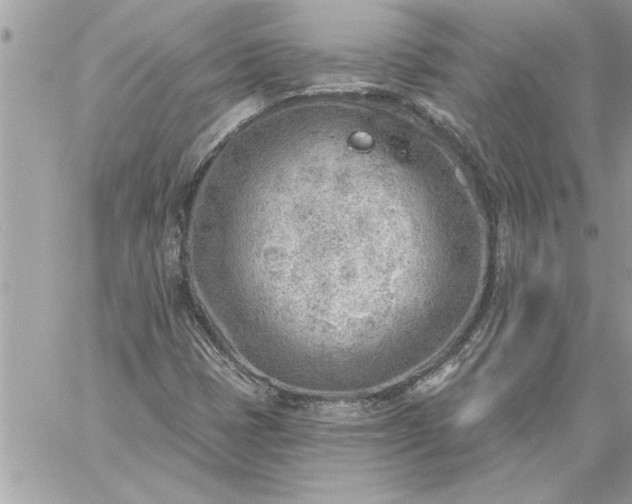 X0000059061401200510171928