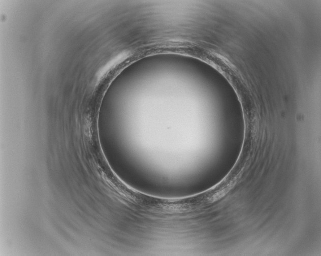 X0000059061402200510171928