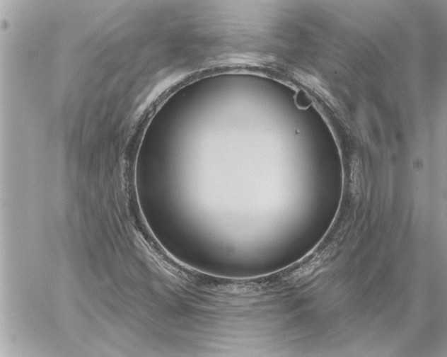 X0000059061404200510171928