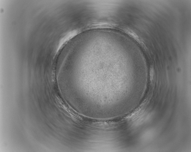 X0000059061405200510171928