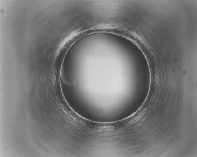 X0000059061406200510171928