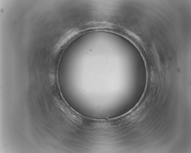 X0000059061407200510171928