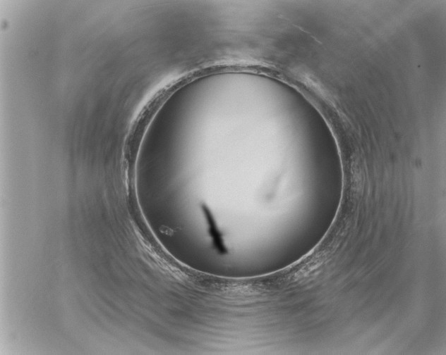 X0000059061408200510171928