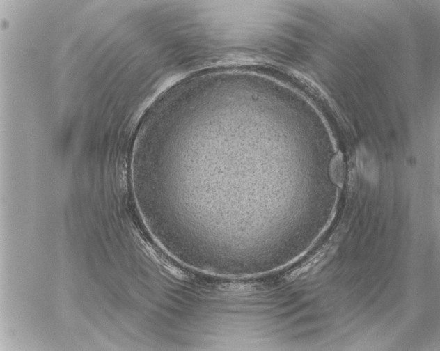 X0000059061409200510171928