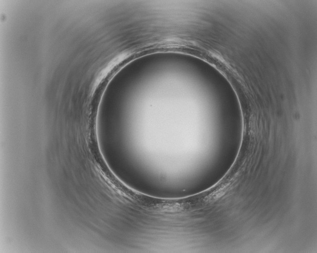 X0000059061410200510171928