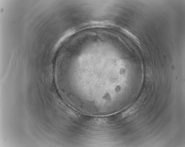 X0000059061411200510171928