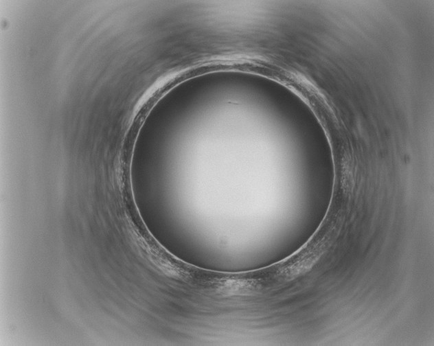 X0000059061412200510171928