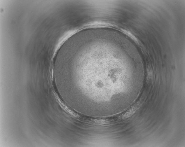 X0000059061413200510171928