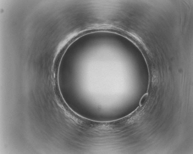 X0000059061414200510171928