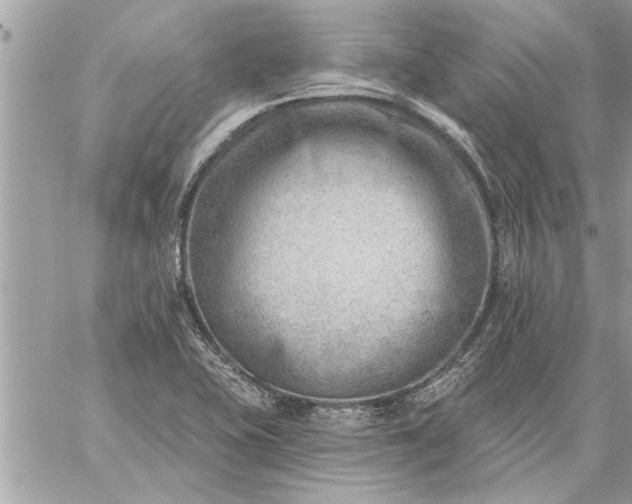 X0000059061415200510171928